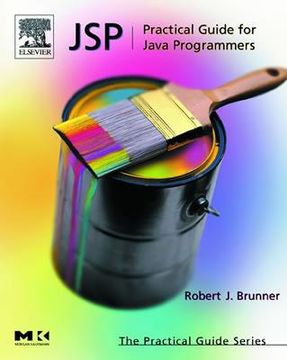 portada a practical guide for programmers (en Inglés)