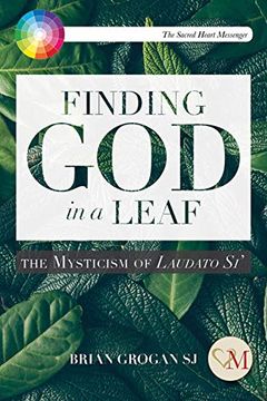 portada Finding god in a Leaf: The Mysticism of Laudato Si' (en Inglés)