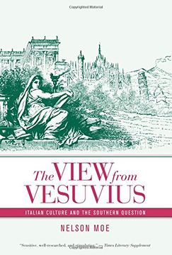 portada The View From Vesuvius (Studies on the History of Society and Culture) (en Inglés)