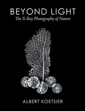 portada Beyond Light: The X-Ray Photography of Nature (en Inglés)