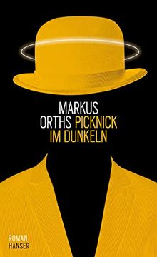 portada Picknick im Dunkeln: Roman (en Alemán)