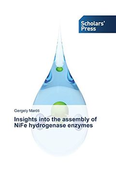 portada Insights into the assembly of NiFe hydrogenase enzymes