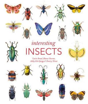portada Interesting Insects (en Inglés)