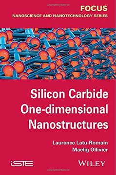 portada Silicon Carbide One-Dimensional Nanostructures