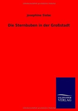 portada Die Sternbuben in Der Gro Stadt (German Edition)