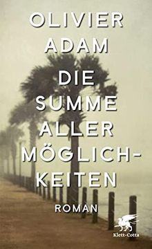 portada Die Summe Aller Möglichkeiten: Roman (in German)