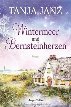 portada Wintermeer und Bernsteinherzen: Roman (en Alemán)