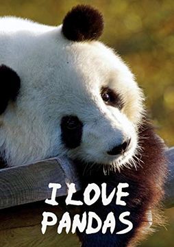 portada I Love Pandas Not (en Inglés)