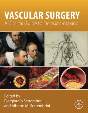 portada Vascular Surgery: A Clinical Guide to Decision-Making (en Inglés)