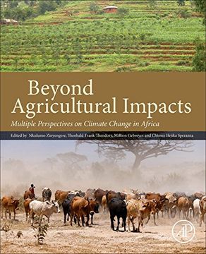 portada Beyond Agricultural Impacts: Multiple Perspectives on Climate Change and Agriculture in Africa