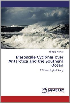 portada mesoscale cyclones over antarctica and the southern ocean (en Inglés)