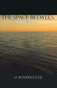 portada The Space Between 