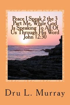 portada Peace I Speak 2 The 3 Part Me, While God Is Speaking 2 All Of Us, Through His Word, John 12: 30 (en Inglés)