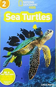 portada Sea Turtles (en Inglés)