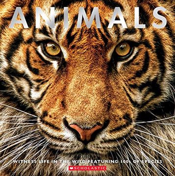portada Animals: Witness Life in the Wild Featuring 100S of Species (en Inglés)