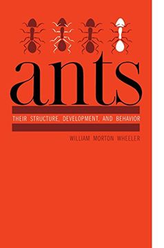 portada ants: their structure, development, and behavior (in English)