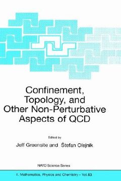 portada confinement, topology, and other non-pertubative aspects of qcd (en Inglés)