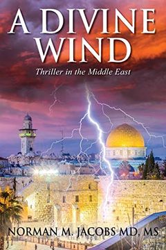 portada A Divine Wind: Taming a Tornado Anticipating a Trillion Dollar Disruptive Technology a Vision of Peace in the Middle East an Allegory on the Biblical Book of job (in English)