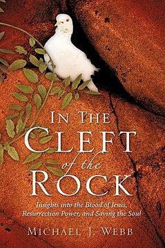 portada in the cleft of the rock (en Inglés)