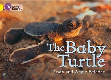 portada The Baby Turtle: Band 03/Yellow (en Inglés)