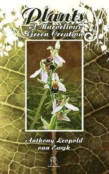 portada plants: a marvellous green creation (in English)