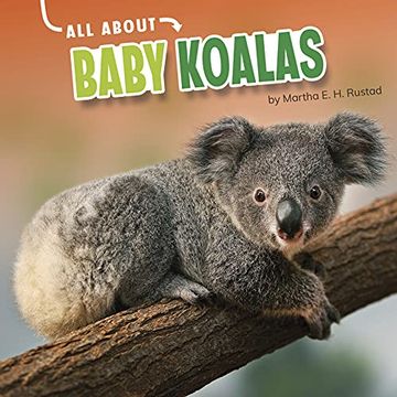 portada All About Baby Koalas (oh Baby! ) (en Inglés)