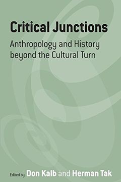 portada Critical Junctions: Anthropology and History Beyond the Cultural Turn (in English)