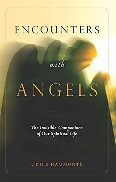 portada Encounters With Angels: The Invisible Companions of our Spiritual Life (en Inglés)