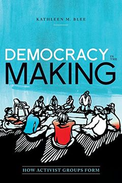 portada Democracy in the Making: How Activist Groups Form (Oxford Studies in Culture and Politics) (in English)