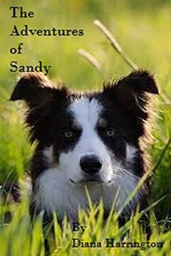 portada Adventures of Sandy, Part i (en Inglés)