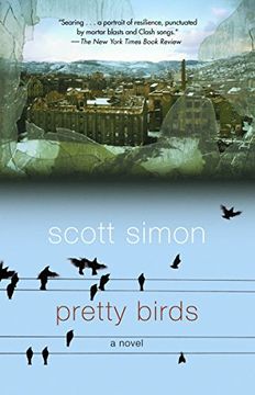 portada Pretty Birds 
