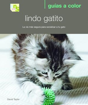 portada Lindo Gatito: La vía más Segura Para Socializar a tu Gato (in Spanish)