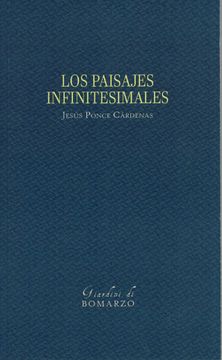 portada Los Paisajes Infinitesimales (in Spanish)