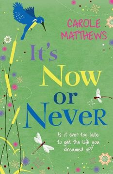 portada it ` s now or never (in English)