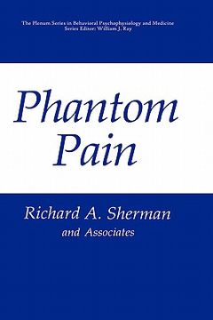 portada phantom pain (en Inglés)