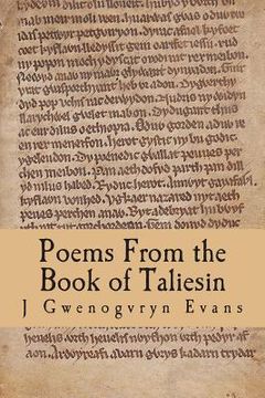 portada Poems From the Book of Taliesin (en Inglés)