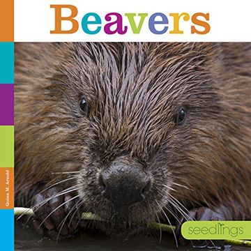 portada Beavers (Seedlings)