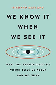portada We Know it When we see it: What the Neurobiology of Vision Tells us About how we Think (in English)