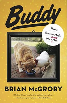 portada Buddy: How a Rooster Made me a Family man (in English)