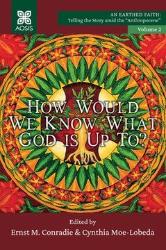 portada How Would we Know what God is up to?