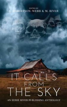 portada It Calls From the Sky: Terrifying Tales From Above (in English)