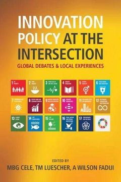 portada Innovation Policy at the Intersection: Global Debates and Local Experiences (en Inglés)