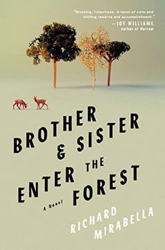 portada Brother & Sister Enter the Forest: A Novel (in English)