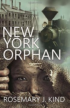 portada New York Orphan: Volume 1 (The Tales of Flynn and Reilly)