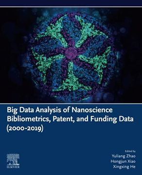 portada Big Data Analysis of Nanoscience Bibliometrics, Patent, and Funding Data (2000-2019) (in English)