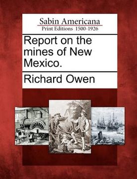 portada report on the mines of new mexico. (en Inglés)