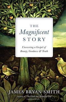 portada The Magnificent Story: Uncovering a Gospel of Beauty, Goodness, and Truth (Apprentice Resources)