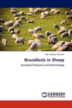portada brucellosis in sheep (in English)