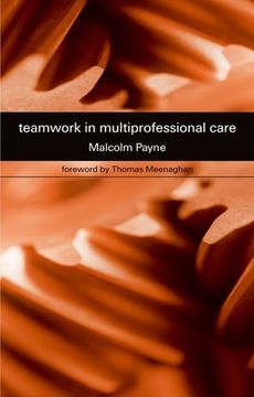 portada Teamwork in Multiprofessional Care (en Inglés)