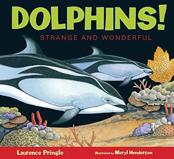 portada Dolphins! (Strange and Wonderful) (en Inglés)